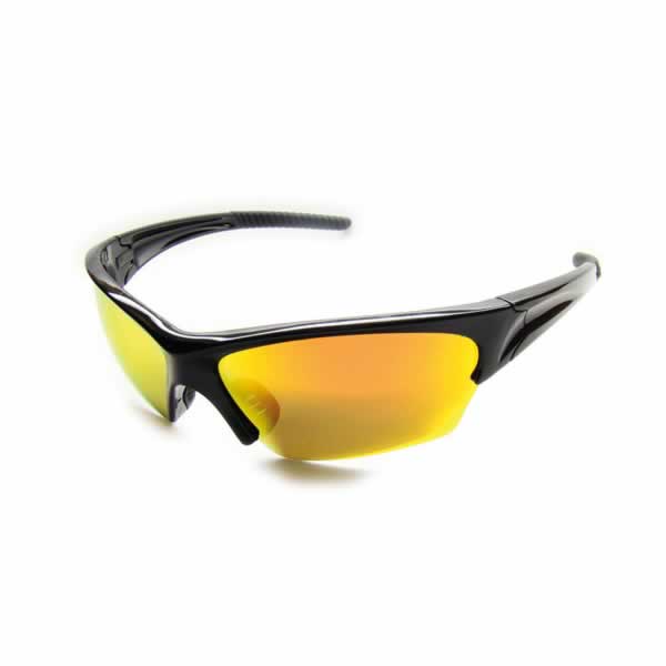 Sensosol Polarisationsbrille Cape-Tree